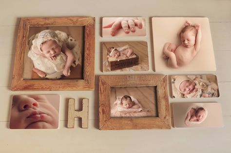 Erin Tole Photography Picture Display Wall, Photo Wall Display, Photo Collage Wall, Photo Wall Decor, Picture Collage Wall, Newborn Props, Photo Wall Collage, Collage Wall, Newborn Pictures