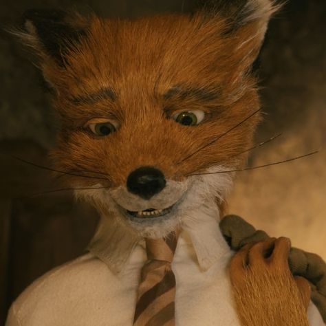 Mr Fox Wallpaper, Fantastic Mr Fox Movie, Fox Icon, Adventure Time Tattoo, Fantastic Fox, Mister Fantastic, Wes Anderson Movies, Wes Anderson Films, Fantastic Mr Fox