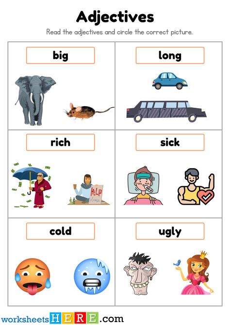 Read the Adjectives and Circle the Correct Picture PDF Worksheet For Student - WorksheetsHere.com Comparative Superlative, Big Bigger Biggest, Degrees Of Comparison, Superlative Adjectives, Comparative Adjectives, Big Picture, Dumb And Dumber, Being Ugly, Reading