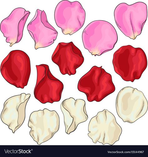 Rose Petals Drawing, Petals Tattoo, Petals Drawing, Red Rose Drawing, Rose Drawing Simple, Realistic Rose, Rose Illustration, Red Rose Petals, Drawing Simple