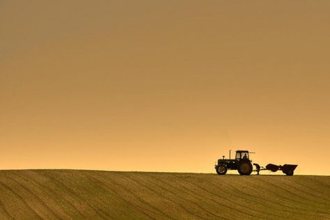 Farm Photos, Life On The Farm, Farming System, Farm Photography, Farm Photo, Farms Living, Down On The Farm, On The Farm, The Farm