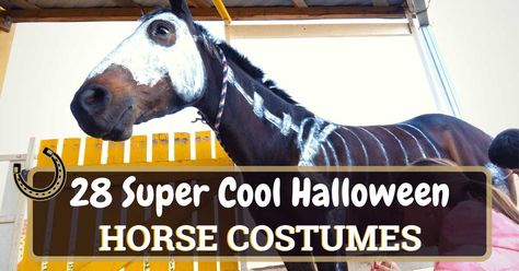 26 Super Cool Halloween Horse Costumes | Horse Soup Best Horse Halloween Costumes, Unicorn Horse Costume, Horse And Rider Costumes Diy Easy, Horse And Rider Halloween Costumes, Halloween Costumes For Horses And Rider, Horse Halloween Costumes Equestrian, Diy Horse Costume, Halloween Horse Costumes, Horse And Rider Costumes