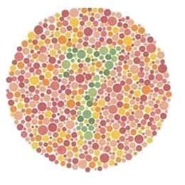 Color Vision Deficiency, Eye Test Chart, Test Image, Color Vision, Story Insta, Eye Test, Color Test, Color Blind, Happy Navratri