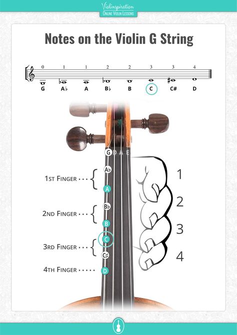 All Violin Notes for Beginners [with Easy PDF Charts] - Violinspiration Violin Beginner Learning, Violin Basics, Violin Beginner Music, Violin Chords, Violin Fingering Chart, Violin Notes, Easy Violin Sheet Music, Violin Tutorial, Play Violin