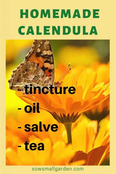 Calendula Recipes, Calendula Tincture, Healing Naturally, Calendula Tea, Herb Tinctures, Gift Ideas For Gardeners, Calendula Salve, Ancient Remedies, Calendula Benefits