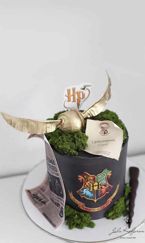 Harry Potter Cake Designs, Cute Birthday Cake Ideas, How To Make Molasses, Harry Potter Birthday Cake Ideas, Black Harry Potter, Harry Potter Birthday Cake, Birthday Shots, Harry Potter Food, Anniversaire Harry Potter