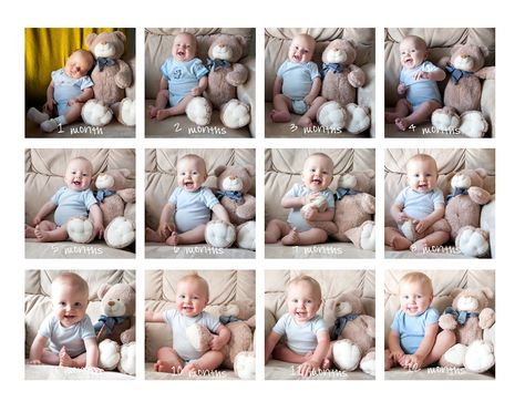 Baby 12 Months, Monthly Baby Pictures, Baby Teddy, Baby Memes, Once A Month, Foto Baby, Cute Cute, Newborn Photoshoot, Baby Boy Rooms