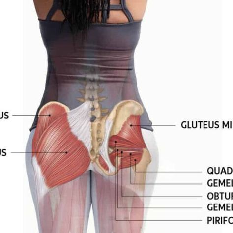 Uneven Glutes, How To Grow Outer Glutes, Hyper Extension Glutes, Unlock Your Glutes, This Is Why Your Glutes Arent Growing, Glute Medius Kickback Cable, Bulgarian Split Squats, Single Leg Deadlift, Glute Activation