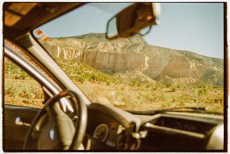 an oasis in the desert #35mm nikon n90s | kodak gold 200 Desert Film Photography, Video Mood, Oasis In The Desert, Kodak Gold 200, Kodak Gold, Desert Oasis, In The Desert, The Desert, Film Photography