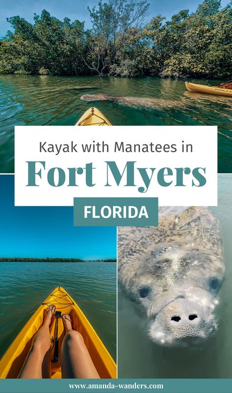 No Fort Myers vacation is complete without seeing the cutest, most curious marine mammal of them all. Whether it's your first Florida vacation to Fort Myers or your 5th, kayaking with manatees should absolutely be on your "Fort Myers, Florida things to do" list. Fort Meyers, Things To Do In Fort Myers Florida, Ft Meyers Florida Beach, Fort Pickens Florida Photography, What To Do In Fort Myers Florida, Toddler Vacation, Swim With Manatees Florida, Beach Photoshoot Family, Florida National Parks