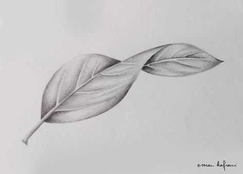 Realistic Leaf Drawing, Leave Drawing, Still Life Pencil Shading, Leaf Sketch, Leaves Drawing, Leaves Sketch, Tahini Recipe, Tree Drawings Pencil, Cool Tattoo Drawings