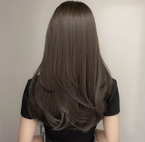 Tips And Trick, Korean Hair Color, Brown Hair Looks, Ash Hair Color, Brown Hair Inspo, Hair Inspiration Long, Hairstyles For Layered Hair, Haircuts For Medium Hair, Haircuts Straight Hair