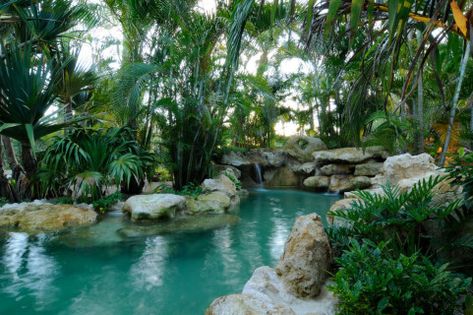 Piscina Laguna, Tropical Pool Landscaping, Swimming Pool Pond, Oasis Pool, Florida Pool, Tropical Water, Natural Swimming Ponds, Lagoon Pool, Ocean Travel