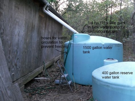 We live out in the rural area, too far from the county water lines, and the water tables are polluted because of old oil wells. We built our house in ... Rainwater Cistern, Watering Trees, 5 Gallon Water Bottle, Rain Harvesting, Natural Architecture, About Rain, Water Tables, Rain Collection, Lawn Sprinklers