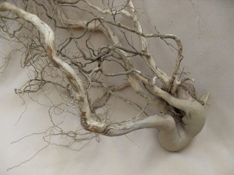 Root Sculpture, Nature Vs Nurture, Ap Studio Art, Driftwood Sculpture, Wood Carving Designs, Desert Art, Carving Designs, Wire Sculpture, Environmental Art