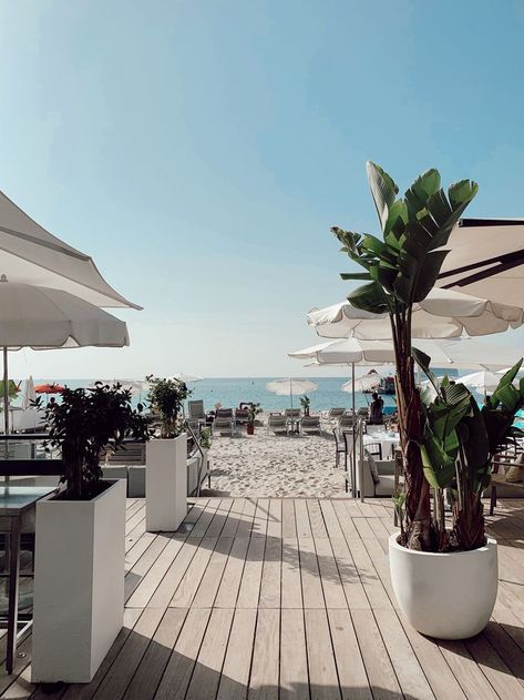 Votre restaurant, plage-privée, écailler et espace évènementiel sur la Croisette à Cannes ⛱ Cannes, Summer Fashion, Villa, Restaurant, Patio, Outdoor Decor, Plants, Patios