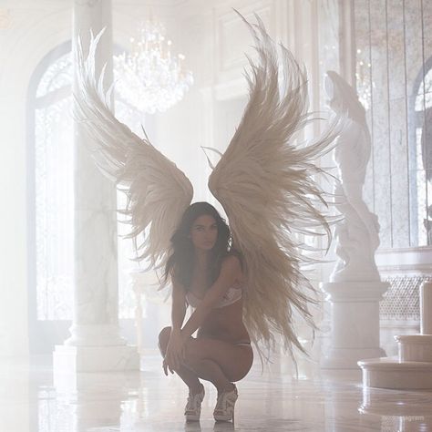 Wings, Tulle, Sparkle! Victoria’s Secret Holiday 2014 Behind the Scenes Pdp Discord, Victoria Secret Wings, 2014 Aesthetic, Victoria's Secret Aesthetic, Victoria Secret Model, Victoria Secret Models, Fav Color, Ange Demon, Photographie Portrait Inspiration