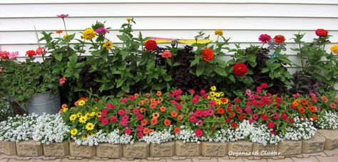 You are about to take a virtual tour of my sister in law's flower gardens.       They are something to behold!  A riot of color from both an... Gardenia Garden, Backyard Flowers Beds, Junk Garden, Shed Landscaping, Zinnia Garden, Organized Clutter, Patio Flowers, Garden Junk, Northern Minnesota