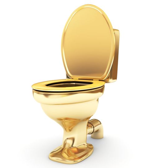 Guggenheim Museum Presents… A Solid Gold Toilet - Cultivating Culture Golden Toilet, Mexican Tile Bathroom, Ladies Restroom, Gold Toilet, Stall Door, Ladies Room, Toilet Sink, Public Restroom, Mexican Tile