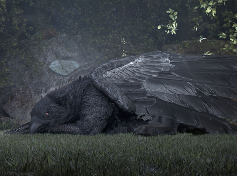 Black Gryphon - Lying in a forest by Philipp Teichrieb Mythical Animal, Fantasy Beasts, Forest Creatures, Alien Creatures, Unusual Art, Fantasy Creatures Art, Creature Feature, Mythical Creatures Art, Creature Concept Art