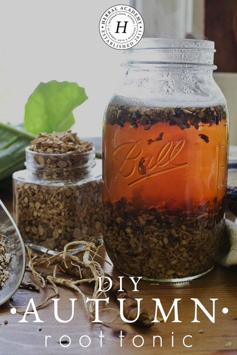 Herbal Tonic, Herbal Tinctures, Herbal Recipes, Dandelion Root, Diy Remedies, Homemade Remedies, Natural Diy, Natural Health Remedies, Natural Home Remedies