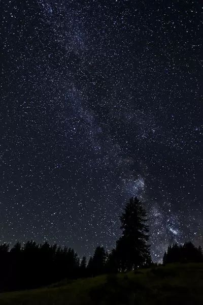 An A0 poster sized print, approx 46x33 Inches (119x84 cm). Starry sky with the Milky Way over a forest, Flums, Canton of St. Gallen, Switzerland. 495809481, astronomic, astronomical, astronomy, canton of st gallen, clear, clear sky, cloudless, flums, forest, galaxy, low angle view, milky way, night, night sky, schweiz, st gallen canton, star, starlit sky, starry sky, suisse, switzerland, wood, woodland. Image supplied by Fine Art Storehouse. Product ID:dmcs_12514617_80452_0 Ios Cottagecore, Forest Galaxy, Starlit Night, St Gallen Switzerland, Starlit Sky, St. Gallen, Stars In The Sky, Forest Night, Arte Van Gogh