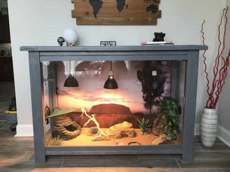 Built In Snake Enclosure, Fancy Bearded Dragon Terrarium, Bearded Dragon Apartment, Bearded Dragon Set Up Ideas, Homemade Bearded Dragon Enclosure, Custom Bearded Dragon Enclosure, Diy Bearded Dragon Enclosure Decor, Diy Reptile Cage, Bearded Dragon Habitat Ideas