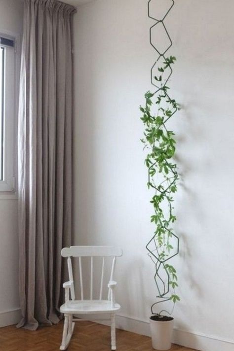 Wall Climbing Plants, Growing Herbs Indoors, Indoor Plant Wall, Vertical Garden Indoor, Plant Wall Decor, Indoor Design, Plant Decor Indoor, Wall Garden, House Plants Indoor