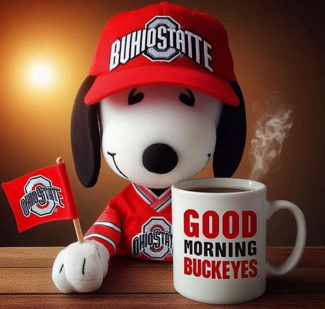 Ohio State Wallpaper, Brutus Buckeye, Buckeye Nation, Ohio State Buckeyes Football, Osu Buckeyes, Buckeyes Football, Ohio State Football, Ohio State University, Football And Basketball