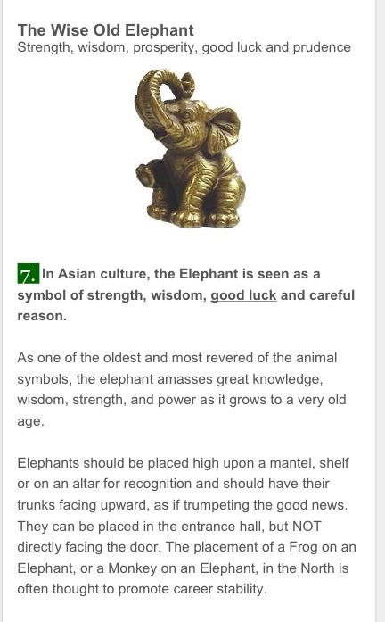 Meaning of elephants Elephant Meaning Symbols, Meaning Of Elephants, Elephant Symbolism Meaning, What Do Elephants Symbolize, Elephant Quotes Strength, Spiritual Elephant, Elephant Symbolism, Elephant Spirit Animal, Elephant Meaning