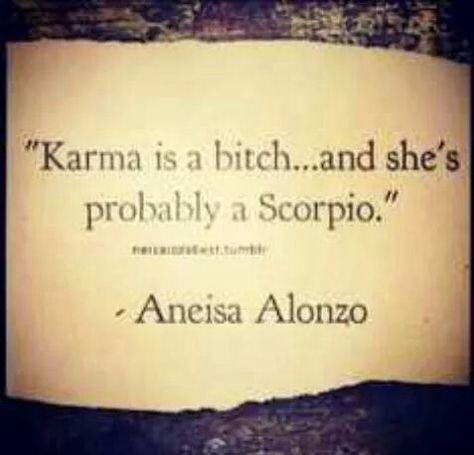 "karma is a bitch...and she's probably a Scorpio" -- Aneisa Alonzo - http://www.simplysunsigns.com/ All About Scorpio, Scorpio Traits, Zodiac Scorpio, Scorpio Love, Scorpio Zodiac Facts, Scorpio Quotes, Zodiac Signs Scorpio, Scorpio Horoscope, Scorpio Season