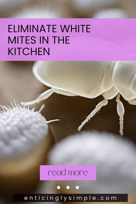 Tired of pesky white mites invading your kitchen? Learn how to get rid of these unwanted guests with clear, practical tips. Our expert advice will guide you through effective methods to eradicate white mites from countertops, pantry areas, and even grains. Discover essential cleaning techniques and natural repellents that keep your kitchen mite-free, ensuring a safe and hygienic cooking environment. Don't worry! You're just steps away from enjoying a clean and pest-free kitchen paradise again. How To Get Rid Of Grain Mites, Natural Insecticide, Contaminated Food, Kitchen Top, Natural Repellent, Household Pests, Clove Essential Oil, Cleaning Techniques, Diy Sprays