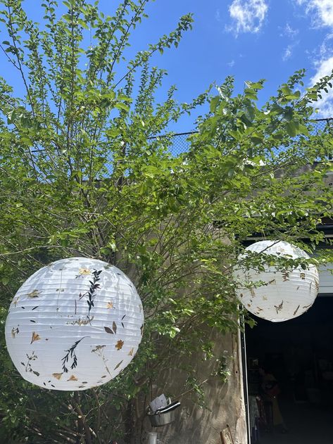 IKEA Regolit balls hanging in a tree Ikea Paper Lantern, Light Apartment, Paper Lanterns Diy, Ikea Lamp, Diy Hack, Spring Boards, Look Expensive, Paper Lantern, Repurposed Items