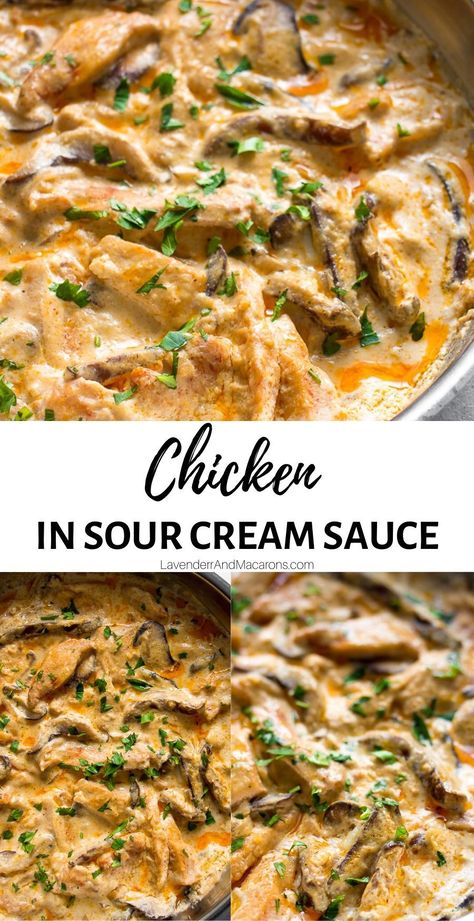 Chicken In Sour Cream Sauce, Sour Cream Chicken Recipes Easy, Chicken Pasta Recipes With Sour Cream, Chicken With Sour Cream Sauce, Chicken Mushroom Sour Cream Recipes, Sour Cream Chicken And Rice, Chicken Recipe With Sour Cream, Cream Of Chicken Sauce Recipes, Sauteed Chicken And Mushrooms