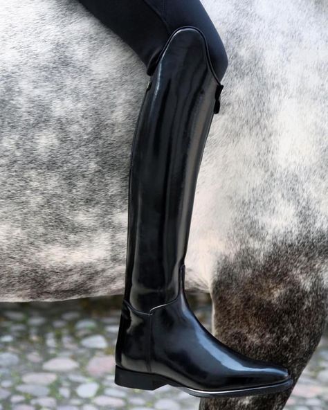 CELERIS UK, USA & Canada (@celerisuk) on Instagram: “Our new model the Amazona is very similar to the Passage dressage boot but with some design tweaks.…” Dressage Boots, Equestrian Outfit, Equestrian Helmets, Equestrian Helmet, English Riding, Equestrian Boots, Riding Hats, Horse Blankets, Equestrian Sports