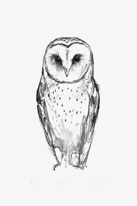 Barn Owl Drawing, Barn Owl Tattoo, Barn Owl Art, Owl Tattoo Drawings, Owl Sketch, Sejarah Kuno, Owl Tattoo Design, Owls Drawing, Owl Tattoo