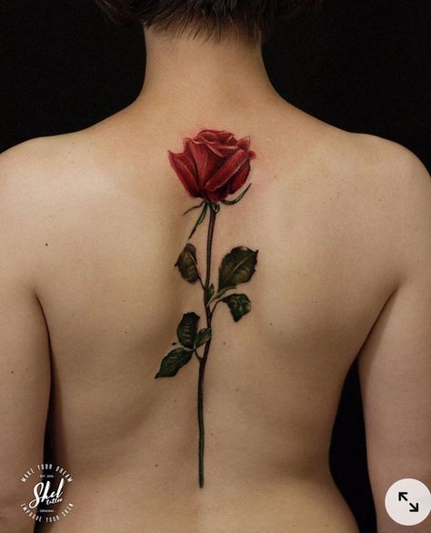 Rose Tattoo Back Spine, Long Stem Rose Tattoo, Rose Spine Tattoo, Rose Back Tattoo, Rose Tattoo On Back, Rose Tat, Single Rose Tattoos, Mum Tattoo, Tattoo On Back