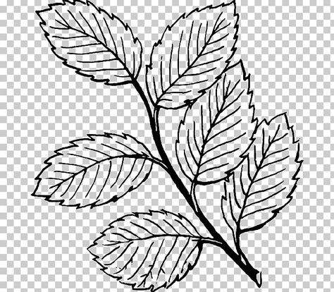 Leaves Clipart Black And White, Autumn Black And White, White Flower Png, Drawing Leaf, Etsy Drawing, Leaves Clipart, Paisley Print Design, Autumn Leaf Color, Fall Drawings