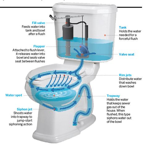 Read This Before You Buy a Toilet - This Old House Geberit Toilet, Toilet Plumbing, Liquid Waste, Water And Fire, Plumbing Accessories, Toilet Installation, Dual Flush Toilet, Bathroom Contemporary, Bathroom Luxury