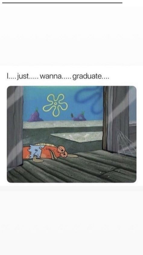 Graduation Meme, Cute Jokes, Jokes Pics, School Memes, Mood Humor, Funny Reaction Pictures, Funny Relatable Quotes, Meme Faces, Really Funny Pictures