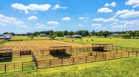 Horse Turn Out Pens, Horse Lot Ideas, Horse Facility Layout, Horse Training Facility Layout, Horse Pens Ideas, Outdoor Arena Horses, Horse Corral Ideas, Horse Property Layout, Horse Paddocks