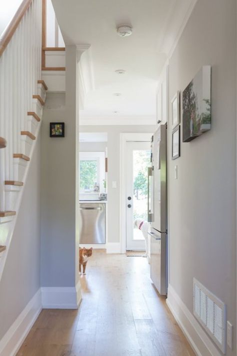 COLOUR SPOTLIGHT – Benjamin Moore Collingwood | ROWE SPURLING PAINT COMPANY Benjamin Moore Collingwood, Best Gray Paint, Best Gray Paint Color, Light Grey Paint Colors, Light Gray Paint, Sherwin Williams Colors, Paint Colors Benjamin Moore, Benjamin Moore Paint, Grey Paint Colors