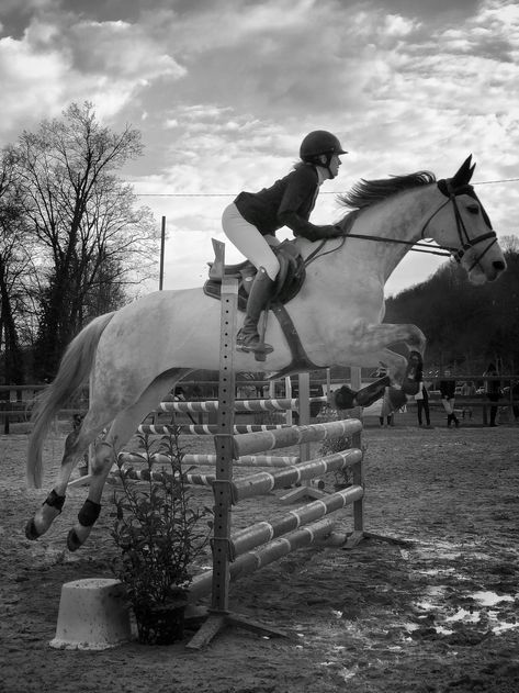 Concours CSO à Aix les Bains. #projet365 #noiretblanc #cso #cheval #equitation #poney #aixlesbains #chevaux #blackandwhite #blackandwhite #horse Eventing Horses, English Riding, Hunter Jumper, All The Pretty Horses, Horse Jumping, Equestrian Life, Equine Photography, Horse Life, Equestrian Outfits