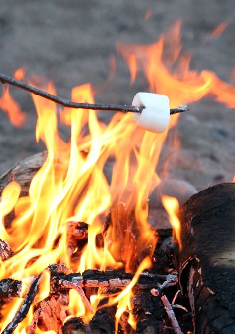 Toasty marshmallows. Bonfire Night Wedding, Toasting Marshmallows, Camping Desserts, Roasting Marshmallows, Campfire Cooking, Open Fire, Camp Cooking, Camping Fun, Camping Food