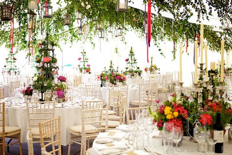 Top Tips for Making your Marquee Magical | Guides for Brides  #weddingmarquee #weddingflowers Wedding Marquee Ideas, Flowers Ceiling, Marquee Wedding Decoration, Hanging Flowers Wedding, Reception Ceiling, Rustic Wedding Groom, Rich Wedding, Marquee Decoration, Wedding Ceiling Decorations