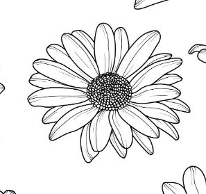 Daisy Head Tattoo, Shasta Daisy Tattoo, Daisy Tattoo Outline, Gerber Daisy Tattoo Small, Daisy Stencil, Tattoo Frau, Anker Tattoo, Stitch Tattoo, Gerber Daisy