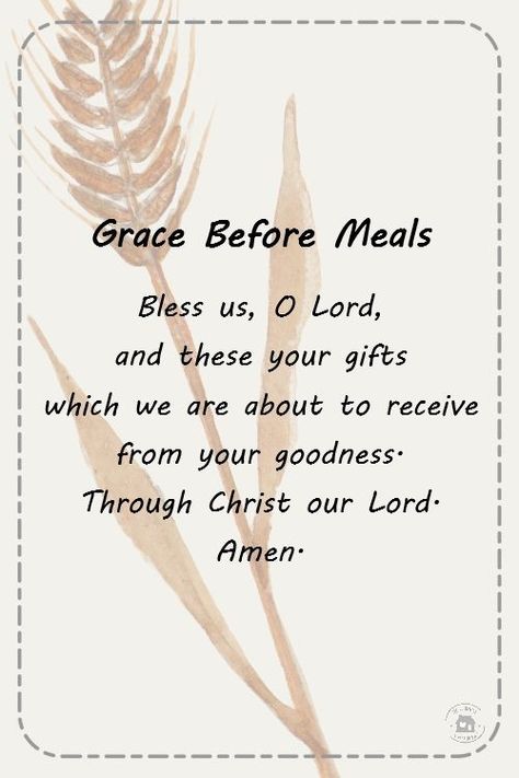 Grace Before Meals, Sacrament Of Reconciliation, Praying The Rosary Catholic, Act Of Contrition, Mealtime Prayers, Easter Religious Crafts, Communion Prayer, Catholic Prayers Daily, Our Father Prayer