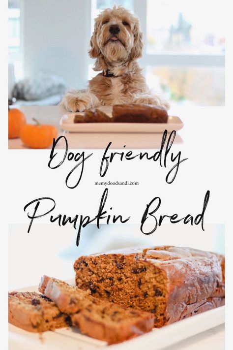 DOG FRIENDLY PUMPKIN BREAD