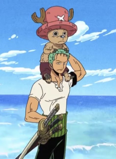 Zoro Chopper, One Piece Chopper, رورونوا زورو, One Piece Meme, Snk Cosplay, One Piece Cosplay, One Piece Funny, One Peice Anime, Zoro One Piece