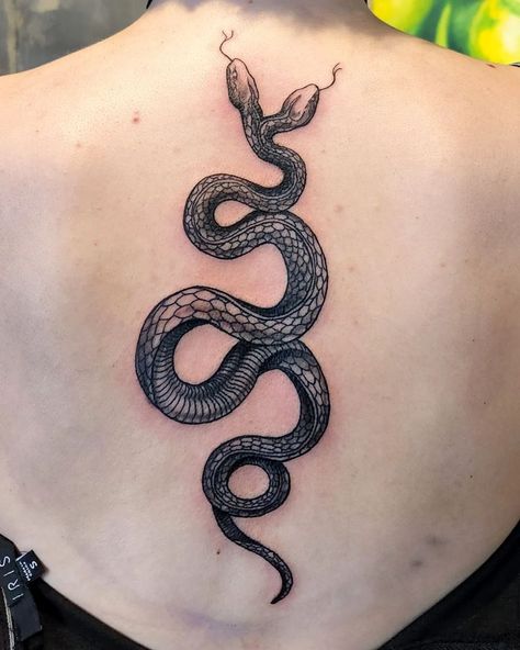 Two Headed Snake Tattoo Meaning, 2 Headed Snake Tattoo, 2 Headed Snake, Two Headed Snake Tattoo, Two Headed Snake, Snake Tattoo Meaning, Tato Tradisional, Tattoo Snake, Snake Tattoo Design